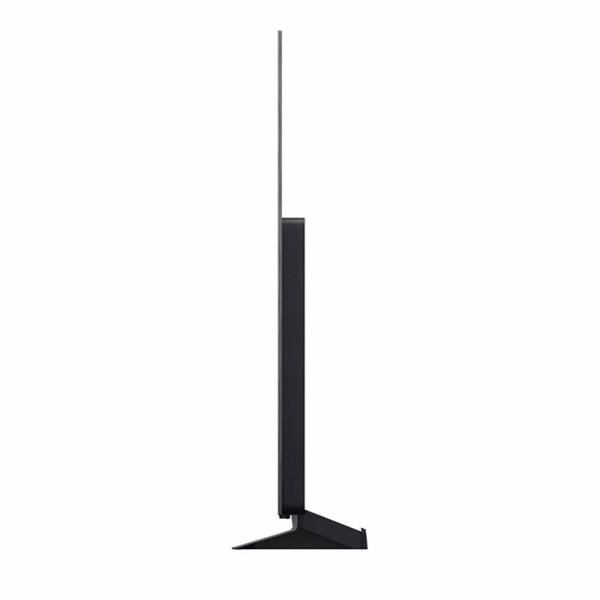 LG OLED EVO OLED65C6PSA.ATC