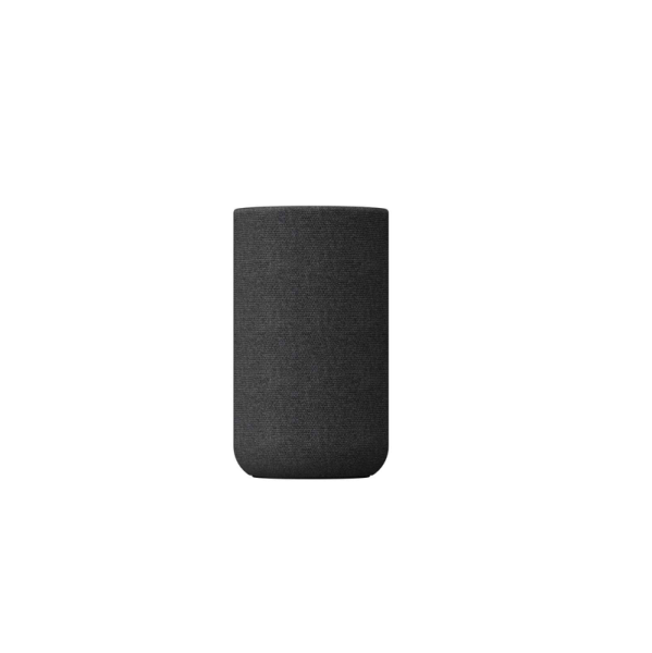 SONY SPEAKERS SA-RS5