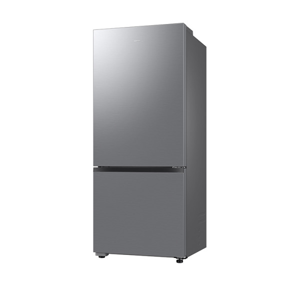Samsung 2 DOOR FRIDGE RB43DG6005S9SS