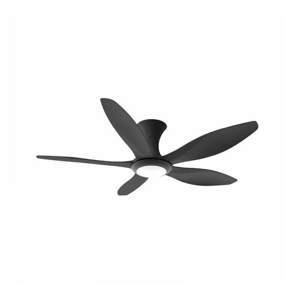 EUROPACE CEILING FAN-TIMER & R/C ECF52HR5BLBL