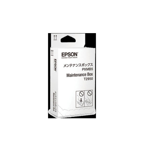 EPSON CARTRIDGES WF-100 Maintenance Box