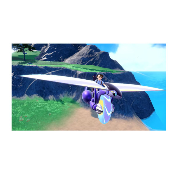 NINTENDO GAMING NTD-HAC-P-A ALZYA-MSE