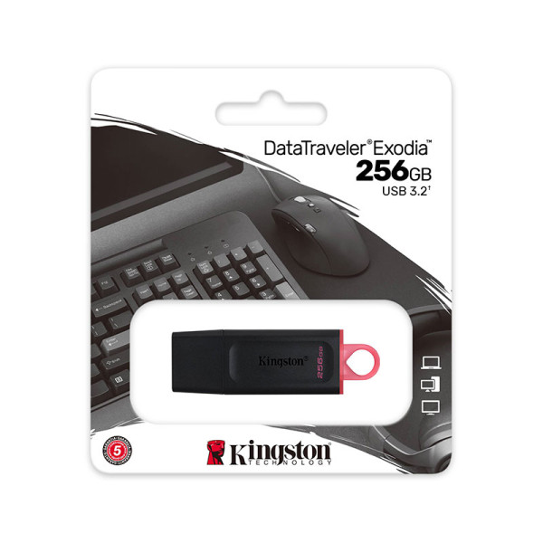 KINGSTON DATA STORAGES DTX/256GB