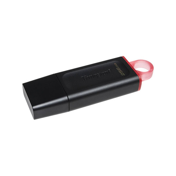 KINGSTON DATA STORAGES DTX/256GB