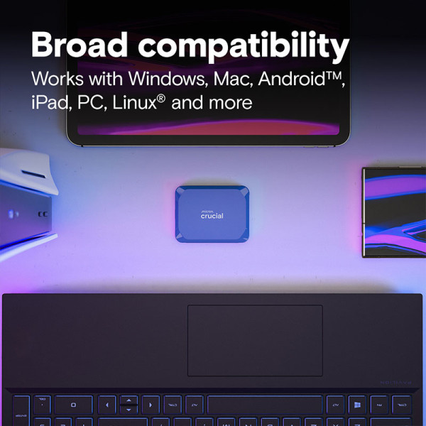 CRUCIAL DATA STORAGES CT8000X10SSD9