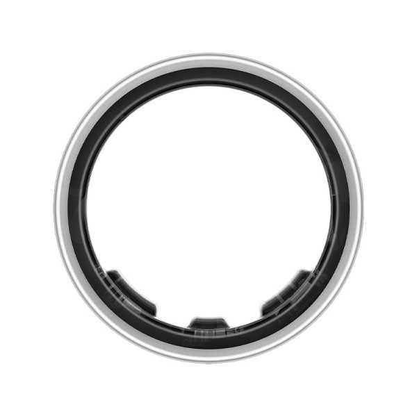 Samsung Wearables SM-Q500NZSAASA 10 SIL
