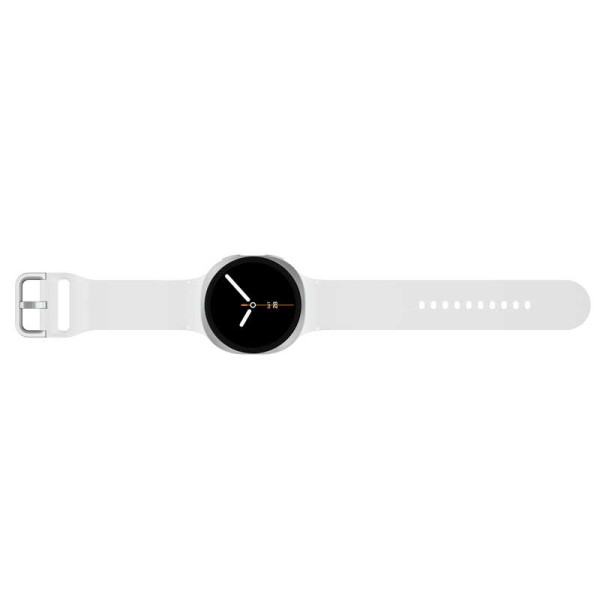 Samsung Wearables SM-L335FDAAXSP 44 LTE GRA W8