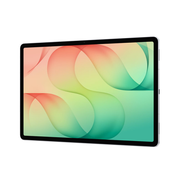 Samsung ANDROID TABLET SM-X846 256 5G SIL S12