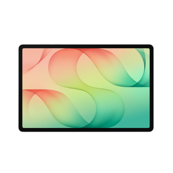 Samsung ANDROID TABLET SM-X846 256 5G SIL S12
