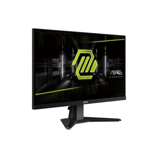 MSI MONITOR MAG 256F