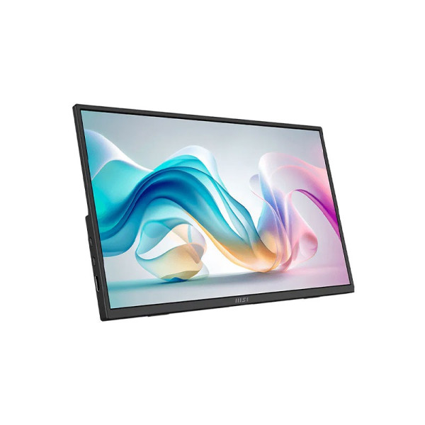 MSI MONITOR PRO MP165 E6