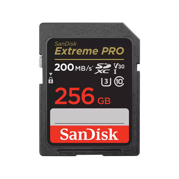 SANDISK MEMORY SD CARD SDSDXXD-256G-GN4IN
