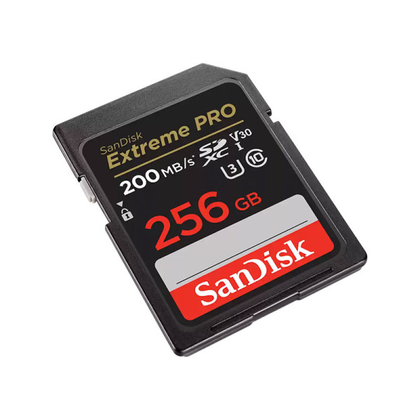 SANDISK MEMORY SD CARD SDSDXXD-256G-GN4IN