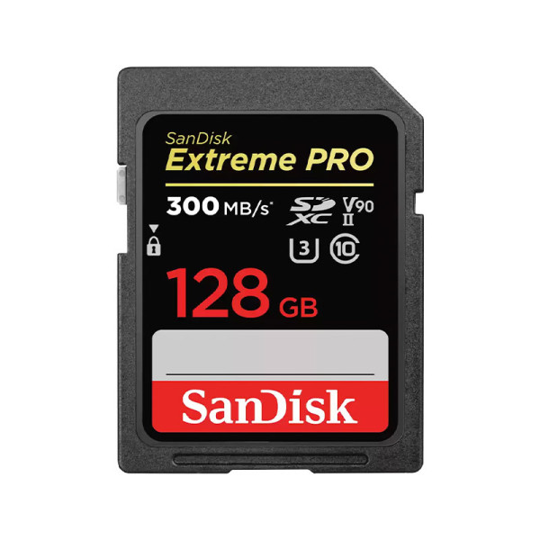 SANDISK MEMORY SD CARD SDSDXDK-128G-GN4IN