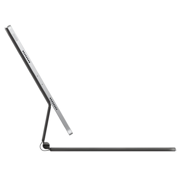 APPLE iPad Accessories MGYX4ZA/A