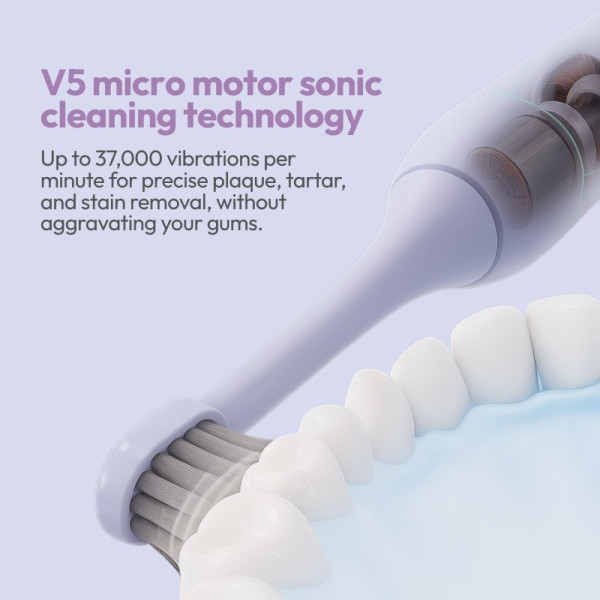 STRYV DENTAL POCKET SMILE POMPOMPURIN