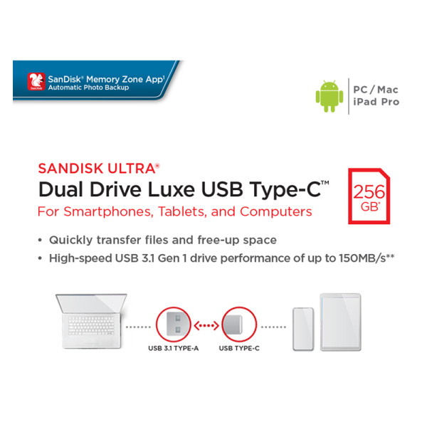 SANDISK DATA STORAGES SDDDC4-256G-G46