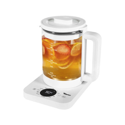 TOYOMI KETTLE WK1717