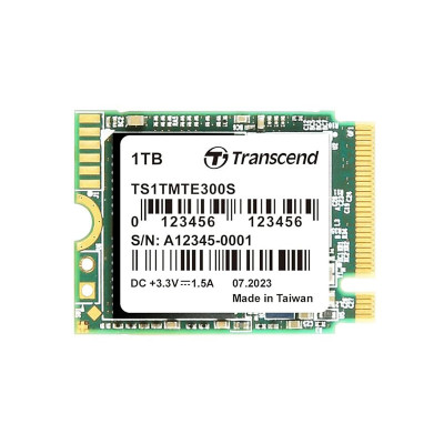 TRANSCEND DATA STORAGES TS1TMTE300S 