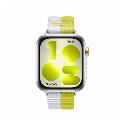 HUAWEI Wearables HW-NIKI-B19W-SILVER