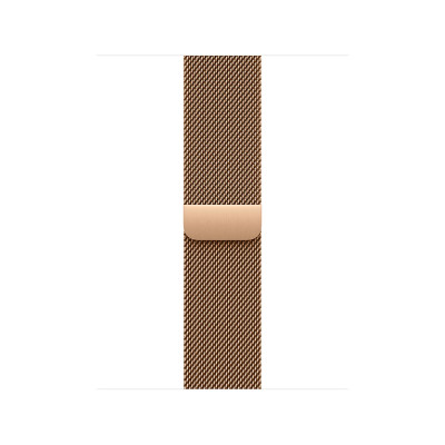 APPLE Watch Accessories MAXL4FE/A