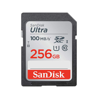 SANDISK MEMORY SD CARD SDSDUNR-256G-GN6IN