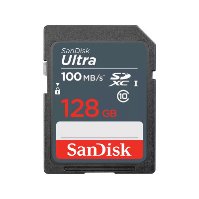 SANDISK MEMORY SD CARD SDSDUNR-128G-GN3IN