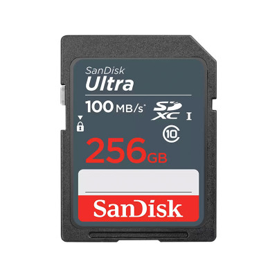 SANDISK MEMORY SD CARD SDSDUNR-256G-GN3IN