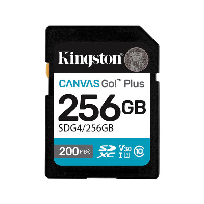 KINGSTON MEMORY SD CARD / READER SDG4/256GB