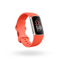 FITBIT Wearables GA05184-CHARGE 6 COR/ GOLD
