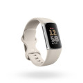 FITBIT Wearables GA05185-CHARGE 6 POR/SLV