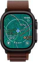 Apple Watch Ultra 4, titanium case, black colour, satellite connection, right side exterior, Digital Crown, raised side button, Alpine Loop strap, burgundy colour