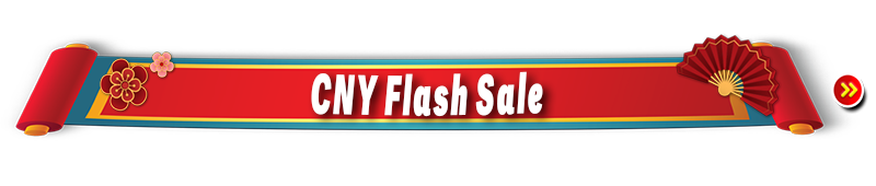 flash3