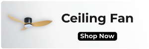 2-Ceiling-Fan
